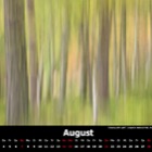 M&M Calendar 2016: August