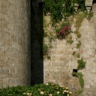 Detail of city wall