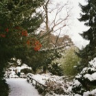 Winter in Baden