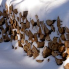 Brennholz im Schnee
