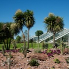 Princess Of Wales Conservatory