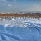 Weingarten im Schnee [HDR]