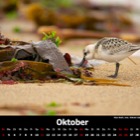2015 Calendar: October