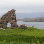 Iona