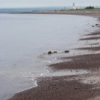 Moray Firth Beach