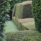 Cawdor Garden