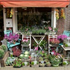 Bloemenwinkel, Noordeinde