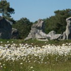 Menhirs