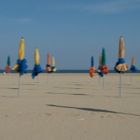 Lonely parasols on the beach