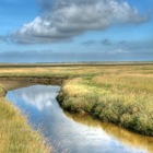 Natuurreservaat 'De Slufter' [HDR]