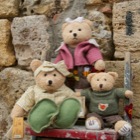 Teddy bear family, Monteriggioni