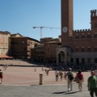 Il Campo, Siena