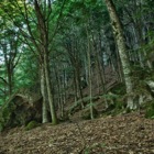 Monte Amiata [HDR]