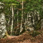 Monte Amiata [HDR]