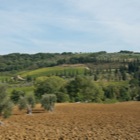 Toscany