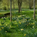 Leeds Castle garden