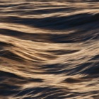 Golden waves