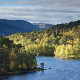 Glen Affric