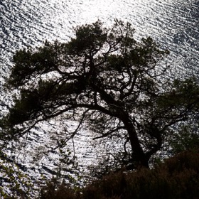 Glen Affric