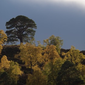 Glen Strathfarrar