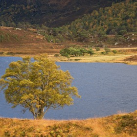Loch a' Mhuillidh, Glen Strathfarrar