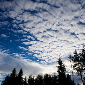 Fluffy clouds