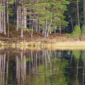 Loch an Eilein