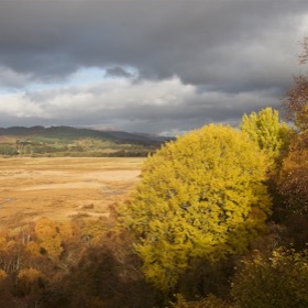 Insh Marshes