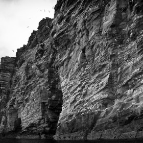 Cliffs of Noss