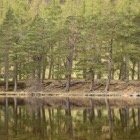 Loch an Eilein