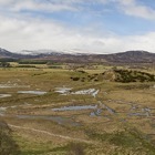 Insh Marshes Panorama