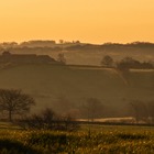 Burgundy sunrise