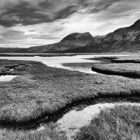 Saltmarsh, Upper Loch Torridon