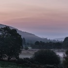 Wicklow Mountains National Park