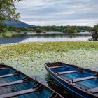 Lough Leane