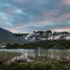 Twelve Pines Island, Derryclare Lough