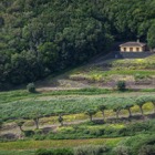 Mirador de Jardina