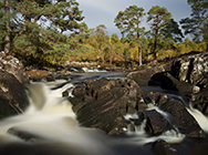 Cairngorms, Scotland '15