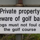 Beware of golf balls