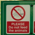 Please do not feed (Apple to) the animals