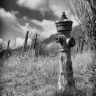 Wasserhydrant am Kahlenberg