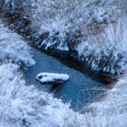 Hochmoor St. Lorenzen