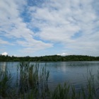 Schotterteich, Brunn am Gebirge