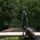 Brunnen in Schönbrunn