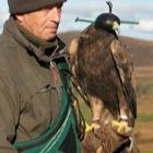 Alan with Golden Eagle