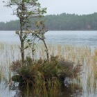 Loch an Eilein