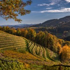 Weingut Schneeberger