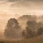 Südsteiermark im Nebel