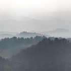 Südsteiermark im Nebel