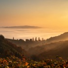 Sonnenaufgang mit Nebel